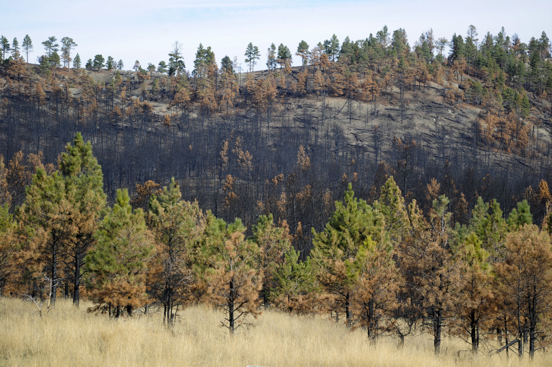A view of the North Hills Fire burn scar Friday morning.